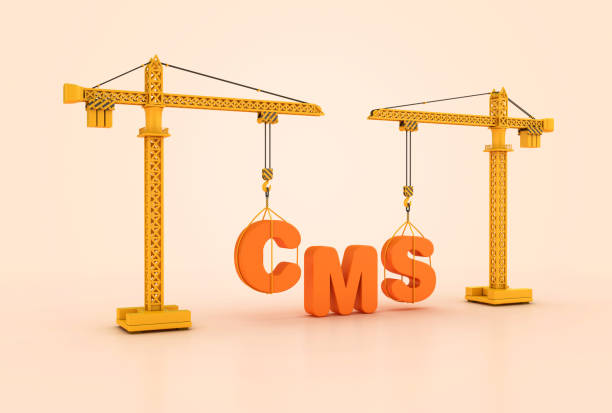 Types of Website Development